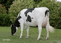 Valeriane, Mutter von Dassi